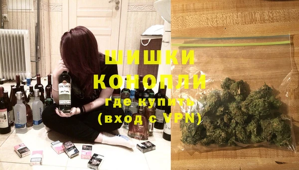 гидра Алексеевка