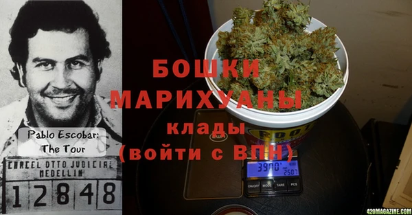 гидра Алексеевка