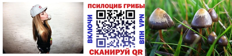 Галлюциногенные грибы мицелий  Нижний Ломов 